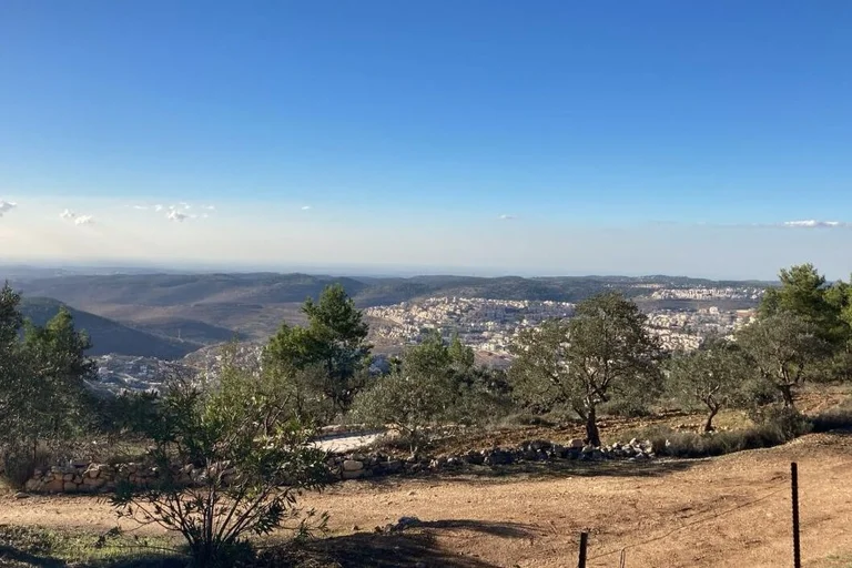 Unterwegs- Blick ins Jordantal auf die Olivenhaine