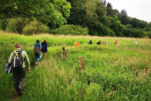 Menschen gehen auf einem Weg durch hohes Gras