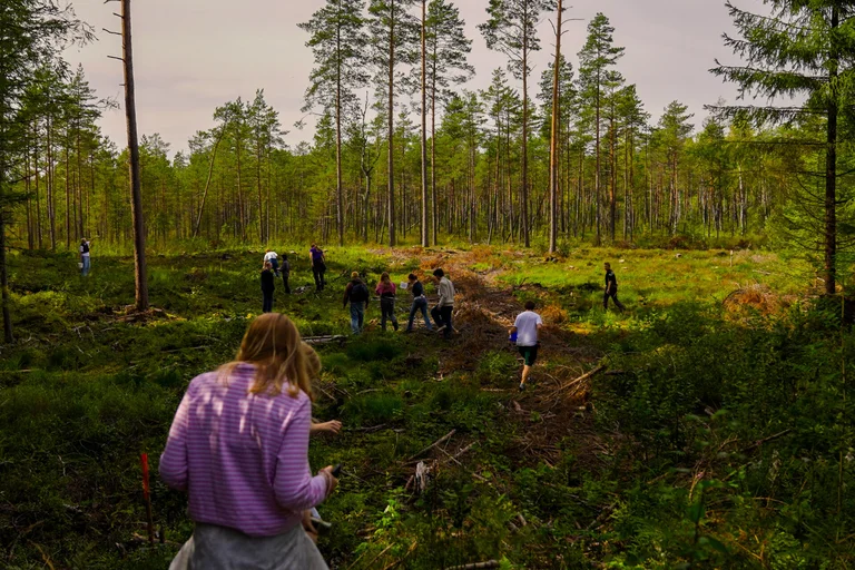 Menschen im Grünen beim Wandern. 