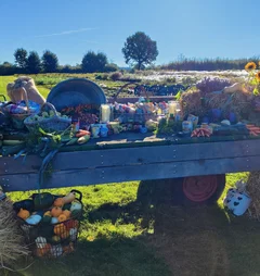 Erntewagen mit Lebensmitteln vor einem grünen Feld