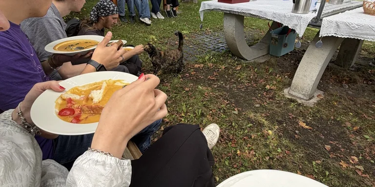 Menschen haben Teller mit Kürbissuppe auf dem Schoß
