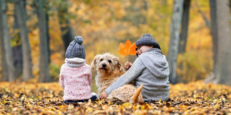 zwei Kinder sitzen auf einem laubbedecktem Waldboden in der Mitte sitzt ein Hund und schaut in die Kamera. Die 