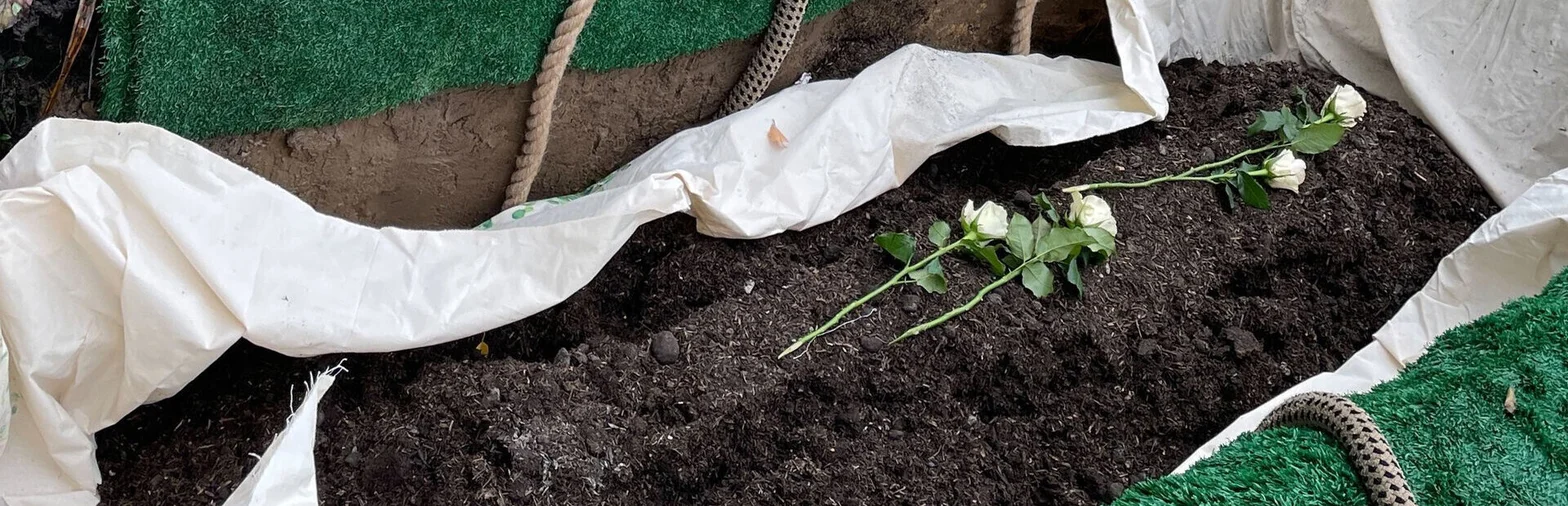 Ein offenes Grab mit einem weißem Tuch und dunkler Erde, darauf mehrere weiße Rosen