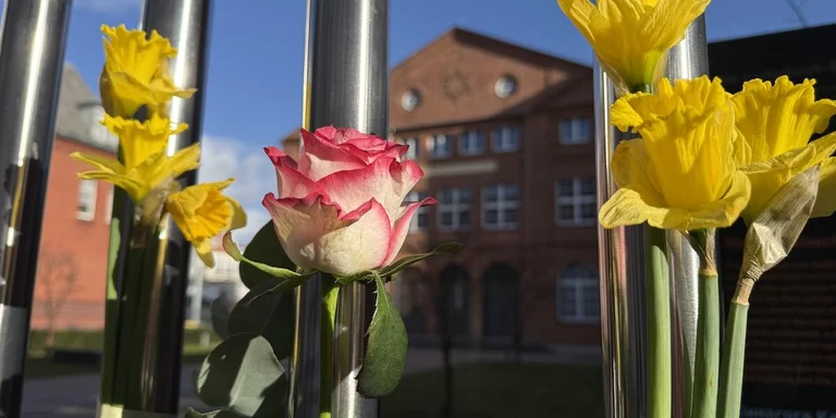 Bunte Blumen an einem Zaun.