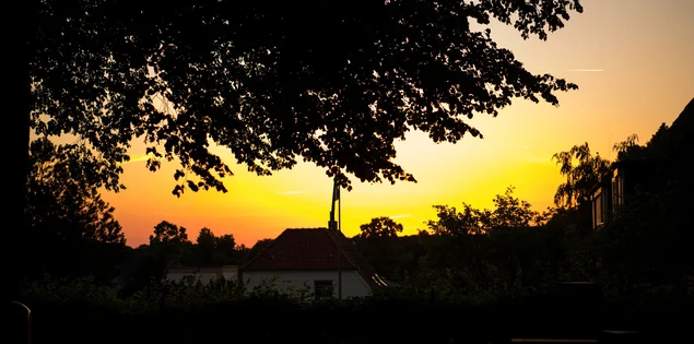 Abendsonne im Grünen