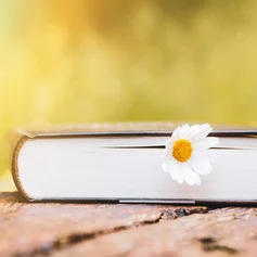 Buch von der Seite mit Blume auf Holz liegend.