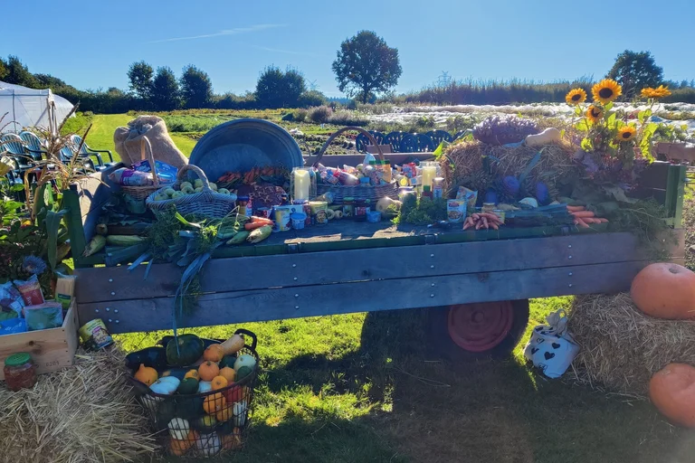 Erntewagen mit Lebensmitteln vor einem grünen Feld