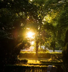 Abendsonne auf einem Friedhof