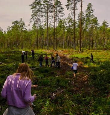 Menschen im Grünen beim Wandern. 