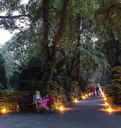 Mit Kerzen erleuchteter Weg auf einem Friedhof