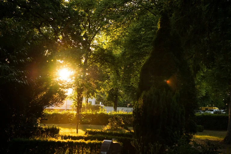 Abendsonne auf einem Friedhof