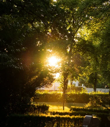 Abendsonne auf einem Friedhof